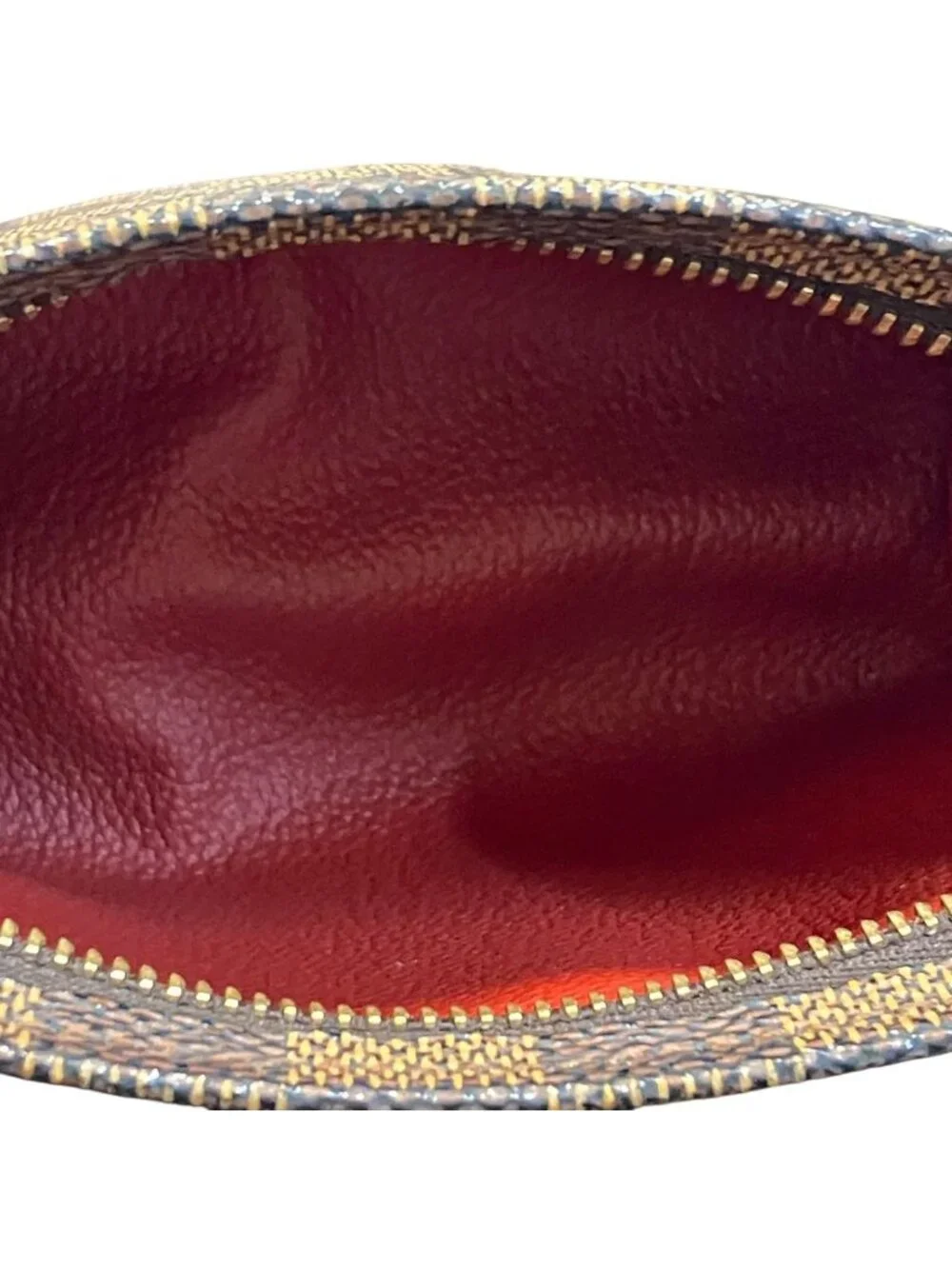Louis Vuitton brand louis